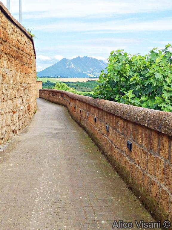Suali Case Nel Borgo Чивита-Кастеллана Экстерьер фото